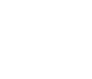 Roboxcel